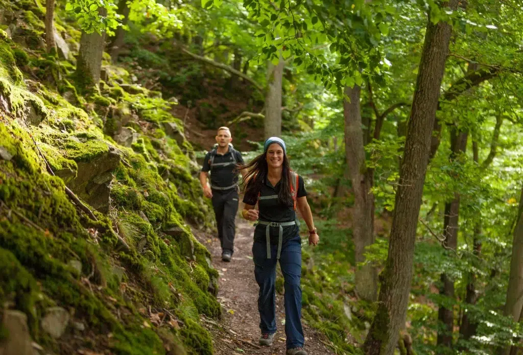 Ferienhaus Kellerwald Zwei Menschen wandern durch einen grünen, bewaldeten Pfad zwischen Bäumen und Moos Ferienhaus Edersee, Zertifizierung als „Qualitätsgastgeber – wanderbares deutschland“
